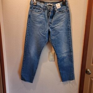 Levi's Women's Wedgie Jeans Size 30/10